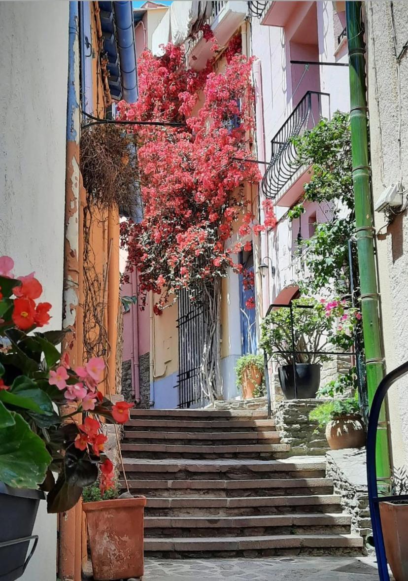 Studio Collioure Mouret Экстерьер фото